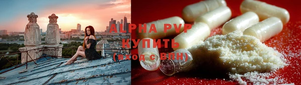 spice Богородицк