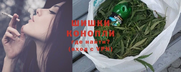 spice Богородицк