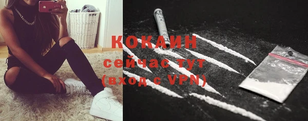 spice Богородицк