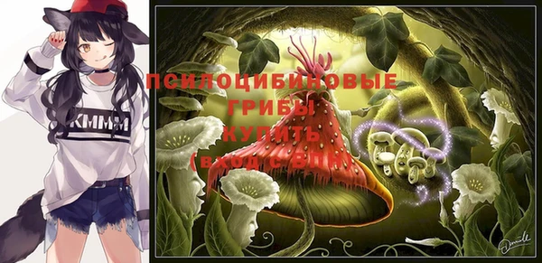 spice Богородицк