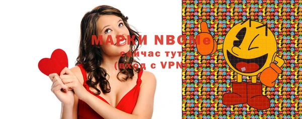 spice Богородицк