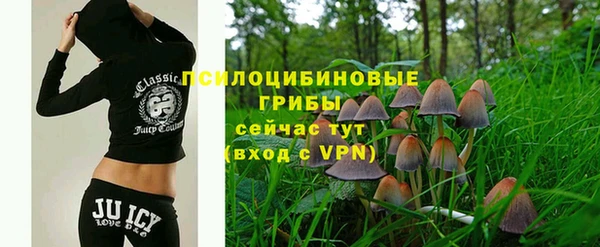 трава Богданович