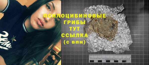 spice Богородицк