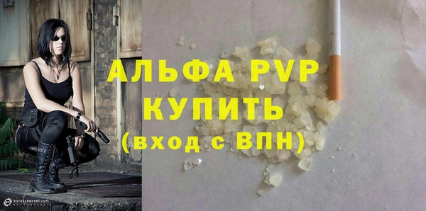 spice Богородицк