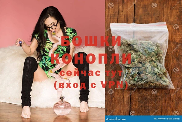 spice Богородицк
