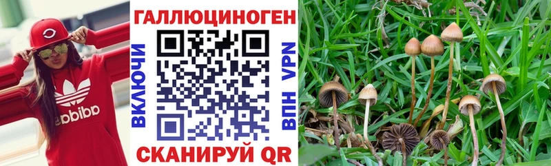 Галлюциногенные грибы мухоморы  Купить закладки  Пойковский 